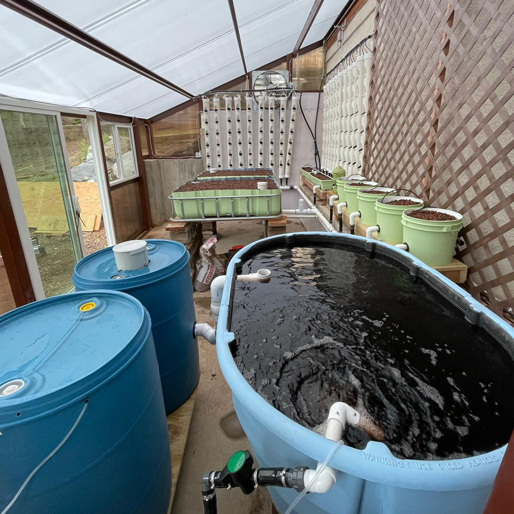 Simplest, Most Adaptable Siphon for Aquaponics Systems 